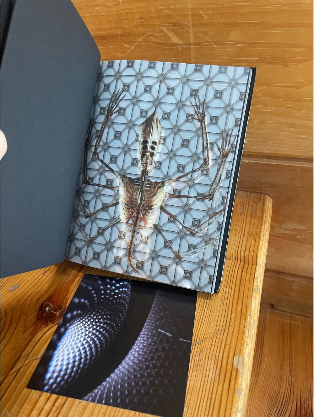 Tool - 56-page booklet - Fear Inoculum - CD